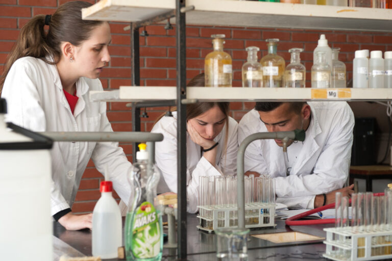 истразување6